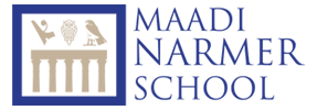 MNS-Logo